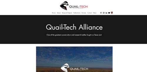 The Quail-Tech Alliance